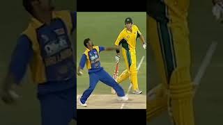 best stumping in cricket cricket shorts cricketlover stumping [upl. by Yuri]