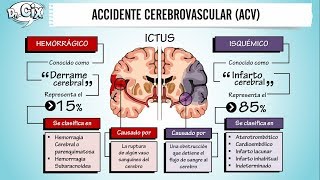 ACCIDENTE CEREBROVASCULAR  Ciencias Básicas [upl. by Hctim]