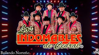 Los Indomables De Cedral ♪ Bailando Norteño [upl. by Samtsirhc]