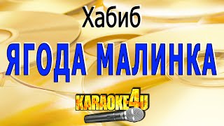 Ягода малинка  Хабиб  Кавер минус [upl. by Inus]