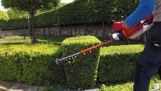 Hedge Trimming small Box  Buxus hedge [upl. by Dolly878]