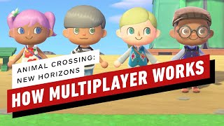 How Multiplayer Works in Animal Crossing New Horizons [upl. by Joya]