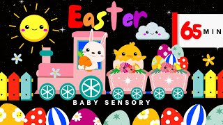 Easter  Baby Sensory  Easter Bunny  Bear with Easter Eggs  Infant Videos  Stimulating Videos [upl. by Bryce925]