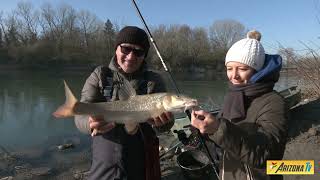 MONDO PESCA  BARBI CON LE MANI  CAVEDANI E BREME  CROTTA DADDA  CREMONA  FIUME ADDA pesca [upl. by Ellekram104]