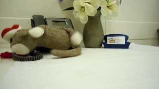 Rollover Sock Monkey  Office Playground [upl. by Nelyag]