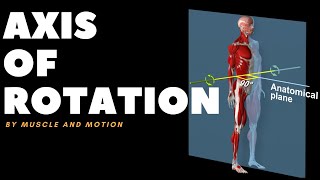 Understanding Axes of MovementRotation [upl. by Adlar]