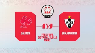 Fase Final Distrital de Sub 14 Masculino  Galitos vs Sanjoanense [upl. by Amliv]