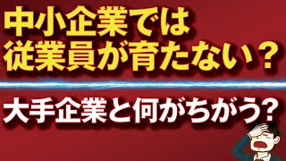 なぜ中小企業では従業員が育たないのか？ [upl. by Maddy825]