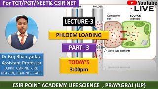 Phloem Loading and Unloading Mechanism  Allocation of Resources  Plant Physiology  CSIRNET JRF [upl. by Alo270]