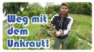 Unkraut im Garten  Unkraut entfernen ernten amp aufräumen [upl. by Eirrab948]