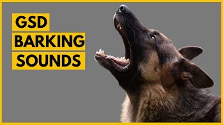 German Shepherd Barking Sounds Compilation See How Your GSD REACTS [upl. by Ronile]