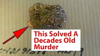 5 Cold Cases Solved Years Later  True Crime Documentary [upl. by Ahsemed539]