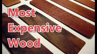 Top 10 Most Expensive Wood in the World [upl. by Kopple699]