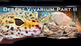 Bioactive and Enriched Desert Vivarium Part II Leopard Gecko Setup [upl. by Costanza453]