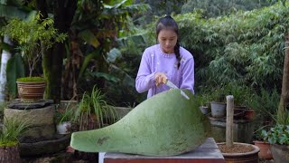 Making Gourd Containers with Self Grown Gourds [upl. by Plantagenet261]