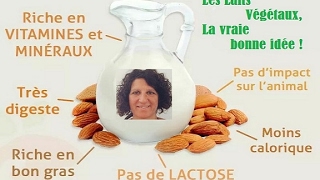 Recette de Laits Vegetaux par Chris SALEM [upl. by Rephotsirhc]