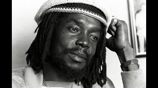 Peter Tosh Mix [upl. by Aisatsan]