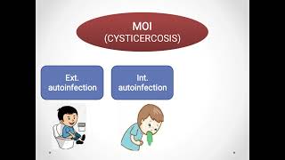 Cysticercosis Taenia solium داء الكيسات المذنبة [upl. by Gabrila]