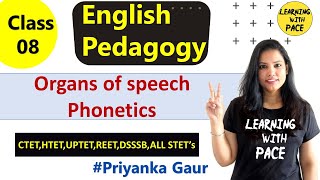 Organs of Speech  Phonetics  CTETHTETREETUPTET Level 1 amp 2  DSSSBKVSSTET’s  Priyanka Gaur [upl. by Sucramej]