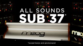 All Sounds Moog Sub 37 [upl. by Ivett832]