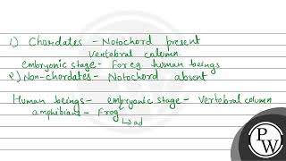 Which one of the following statements is totally wrong about the occurrence of notochord while t [upl. by Horvitz]