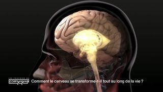 La transformation du cerveau au fil de la vie [upl. by Cathrin587]