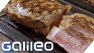 SousVide für zu Hause Edelsteak dank neuer KochMethode  Galileo  ProSieben [upl. by Ahsinroc]