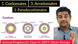 Coelom or Body Cavity  Animal Kingdom  Class 11 NEET Exam🔥biharibiology [upl. by Buller]