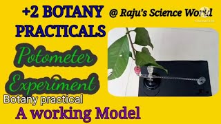 Plus Two Botany  PracticalsPhysiology ExperimentsGanongs Potometer Experiment A working Model [upl. by Hennahane186]