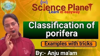 Classification of Porifera Examples with tricks By Anju maam scienceplanetbiology [upl. by Zoie]