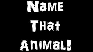 Ohio Wildlife  Animal Quiz [upl. by Idmann454]