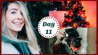 THE PRETTIEST CHRISTMAS TREE  VLOGMAS [upl. by Rahs615]