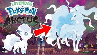 Leyendas Pokemon Arceus Donde encontrar a Vulpix de Alola y cómo evolucionar a Ninetales de Alola [upl. by Aytnahs]