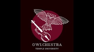 OWLchestra Campus String Orchestra [upl. by Jacob]