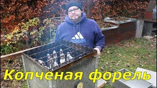 Копченая форельКак коптить форельОгород Баварский [upl. by Jennilee]