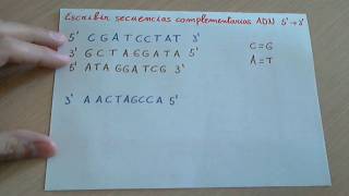 Ejercicio Replicar o duplicar una cadena de ADN Secuencia complementaria de ADN [upl. by Eberhard798]