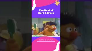 Ernie and Friends Sing Rubber Duckie  Sesame Street Bathtub SingAlong [upl. by Adrienne]