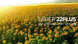 Leber 22PLUS Mariendistel Kapseln  Mit Cholin für die Leber – 22 Vitamine und Naturkräuter [upl. by Healey]