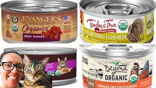 Best cheap wet cat food [upl. by Pembrook]