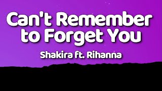 Shakira  Cant Remember to Forget You Lyrics ft Rihanna [upl. by Endres]