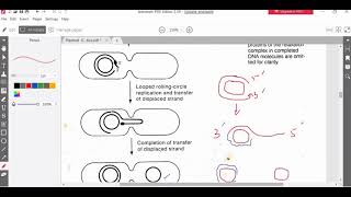 Conjugative mobilizable and self transmissible plasmid [upl. by Adlar]