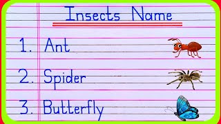 Insects Name  10 Insects Name  Insects Name in English  Insect Name  Name of Insects  Insects [upl. by Wandie]