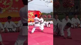 Những đòn đánh tinh hoa karate 🥋 defence vothuat martialarts karate kungfu loitrankarate [upl. by Drummond]