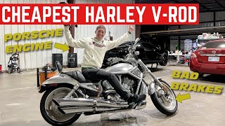 I BOUGHT The CHEAPEST and ROUGHEST HarleyDavidson VROD In The COUNTRY [upl. by Yedok46]