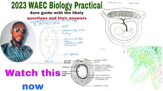 2023 WAEC GCE Alternative to Practical  Questions amp Answers  Qualitative Analysis [upl. by Nnayt]