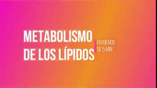 METABOLISMO DE LÍPIDOS En menos de 5 minutos [upl. by Cleon]