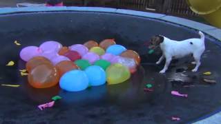 Spaz Attacks Water BalloonsFull Version [upl. by Bentlee]