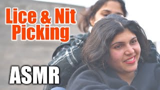 Head Lice n Nit Picking Beautiful Ladies  ASMR Pakistan [upl. by Neelahtak100]