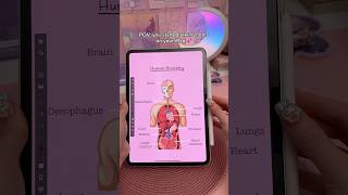 iPad note taking Infinite ZOOM 🤯 take notes with me  digital notes  InfinitePro app  study notes [upl. by Nennahs]