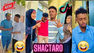 Somali Qosol Badan 2022 New  Somalia Tiktok Live [upl. by Asen]